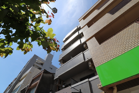 千田アベニュー