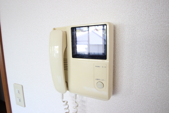 ﾋﾞｭｰﾊﾟﾚｰMS