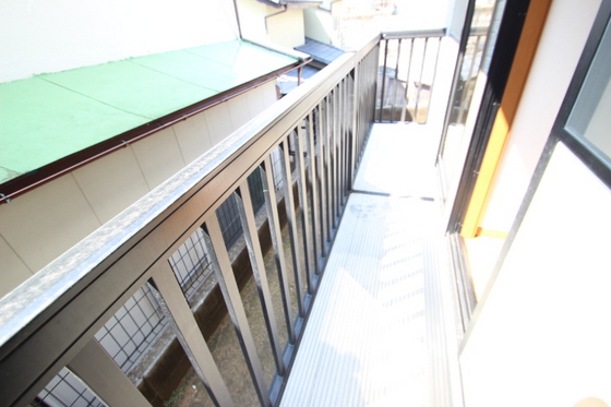 ﾋﾞｭｰﾊﾟﾚｰMS