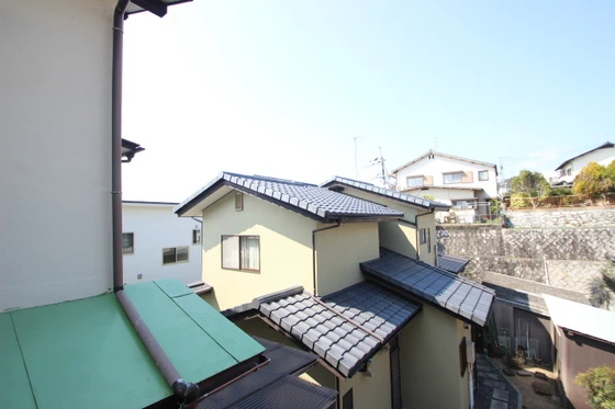 ﾋﾞｭｰﾊﾟﾚｰMS