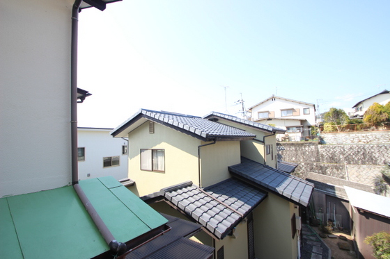 ﾋﾞｭｰﾊﾟﾚｰMS