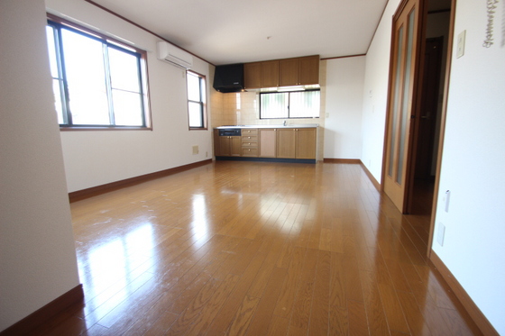 ﾋﾞｭｰﾊﾟﾚｰMS