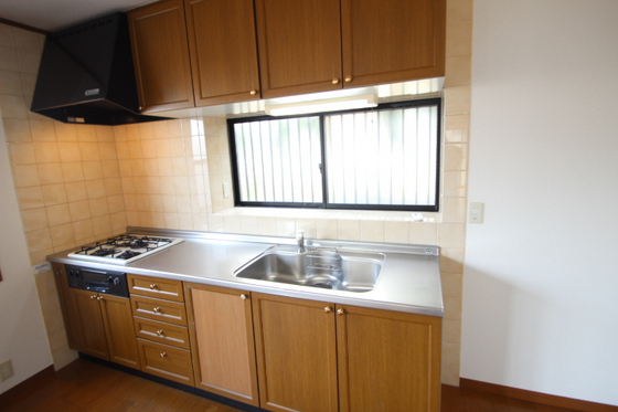 ﾋﾞｭｰﾊﾟﾚｰMS