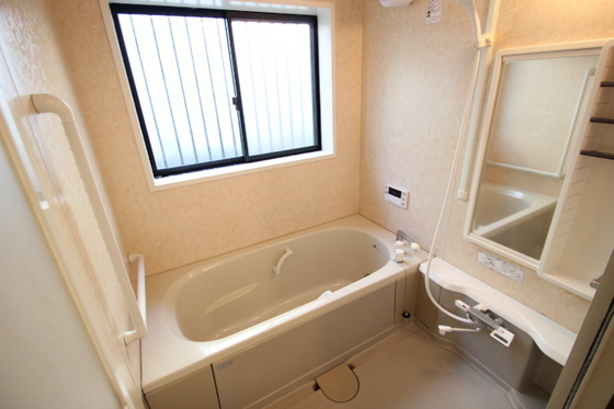 ﾋﾞｭｰﾊﾟﾚｰMS