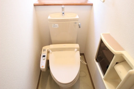 ﾋﾞｭｰﾊﾟﾚｰMS