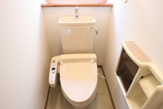 ﾋﾞｭｰﾊﾟﾚｰMS