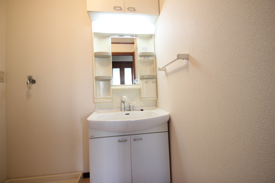 ﾋﾞｭｰﾊﾟﾚｰMS