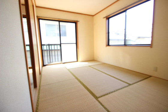 ﾋﾞｭｰﾊﾟﾚｰMS