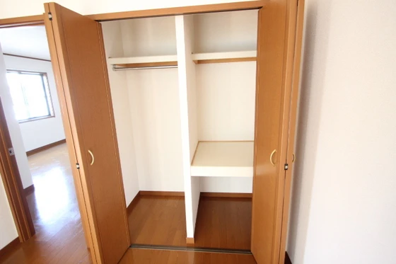 ﾋﾞｭｰﾊﾟﾚｰMS