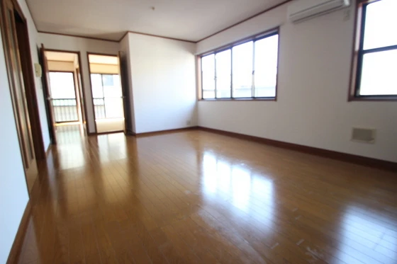 ﾋﾞｭｰﾊﾟﾚｰMS