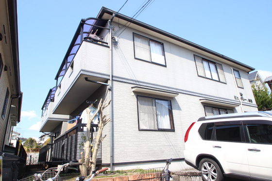 ﾋﾞｭｰﾊﾟﾚｰMS