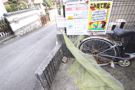 ﾋﾞｭｰﾊﾟﾚｰMS