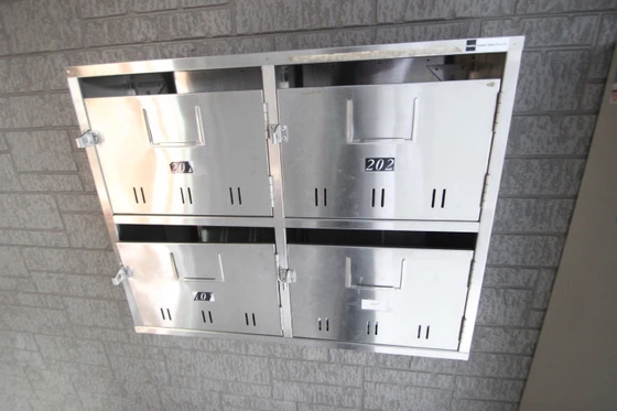 ﾋﾞｭｰﾊﾟﾚｰMS