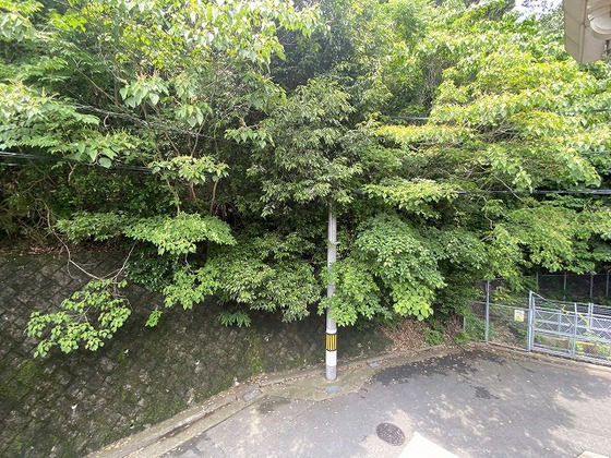 さくらプラスわん A棟