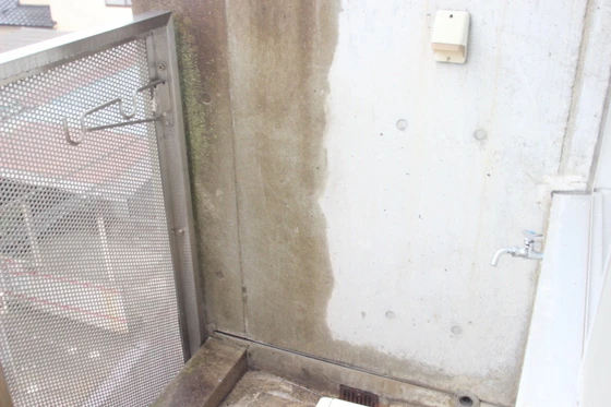 クレックスヤマシタ