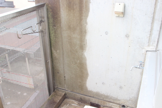 クレックスヤマシタ