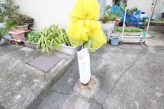 山下マンション