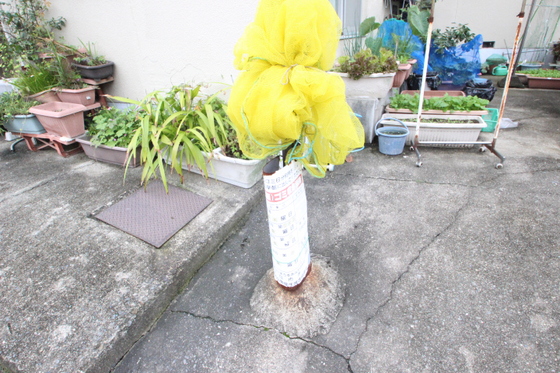 山下マンション