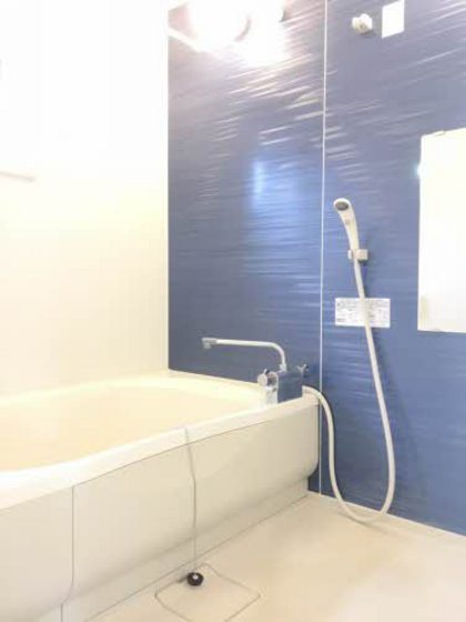 シーゲル(Siegel)