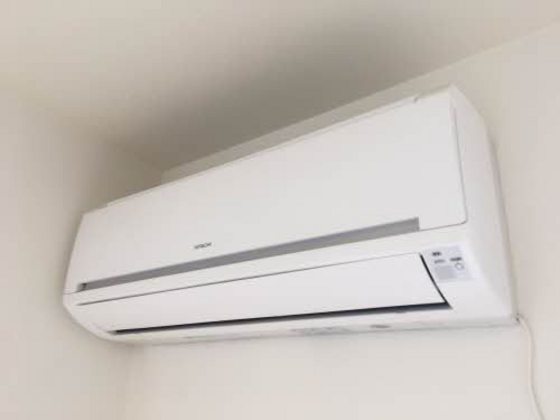 シーゲル(Siegel)