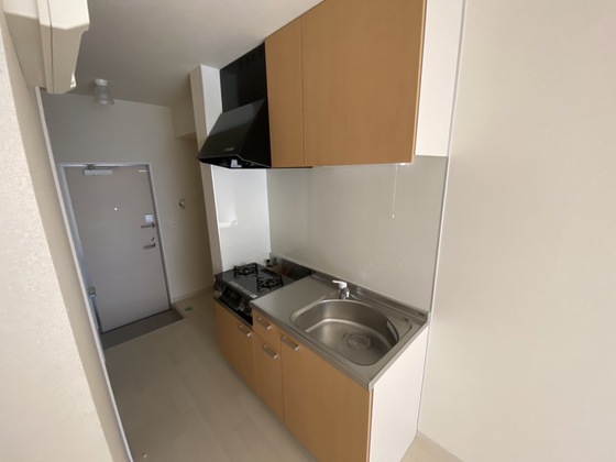 エストレビータ草津Ⅱ