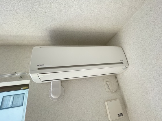 プラシード オオマチ