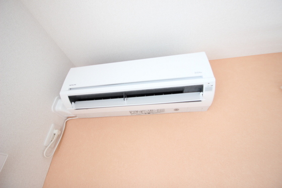 メゾン シュシュ