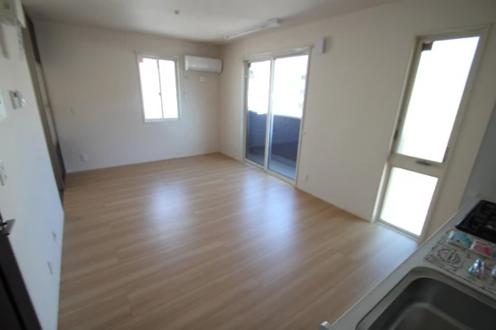 アリエッタ下温品