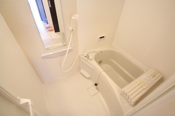 アリエッタ下温品