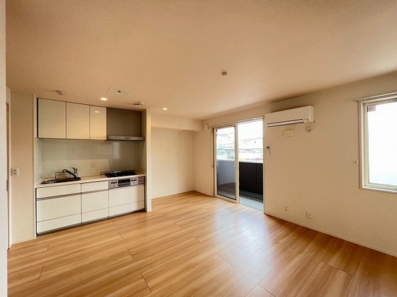 アリエッタ下温品