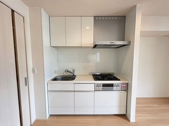 アリエッタ下温品