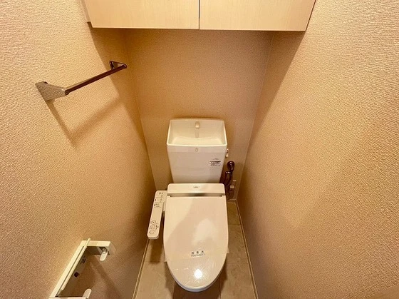 アリエッタ下温品