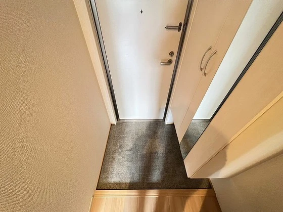 アリエッタ下温品