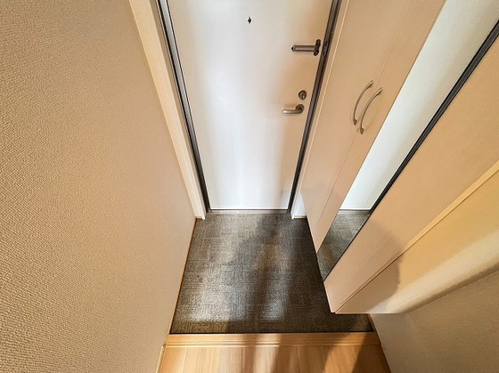 アリエッタ下温品