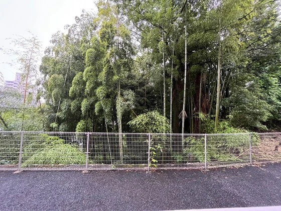 カスタニエ緑井Ⅲ