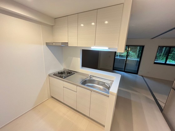 カスタニエ緑井Ⅲ