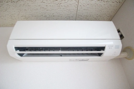 ゴールドトロフ