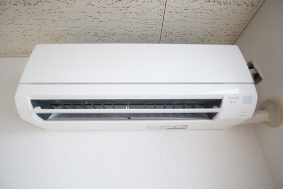 ゴールドトロフ