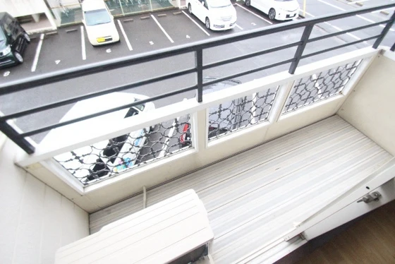 ゴールドトロフ