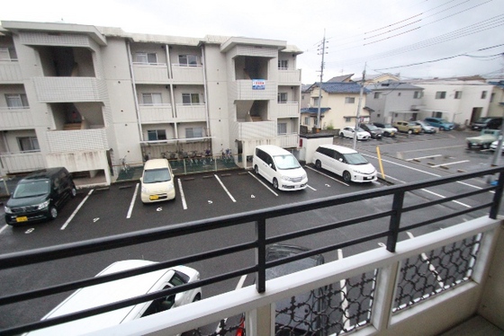 ゴールドトロフ