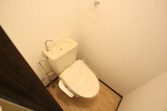 ゴールドトロフ