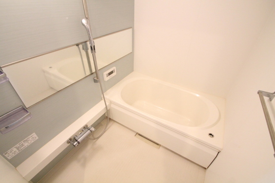 ドーフィンコート