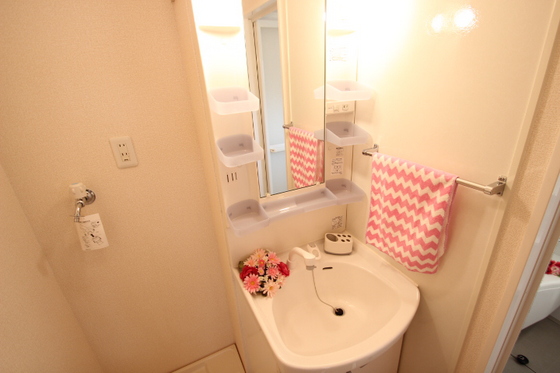 セジュール大地 S棟