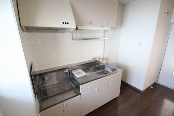 ニューシティSⅡ