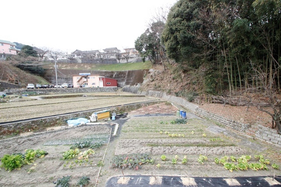 シャルム・コートⅢ