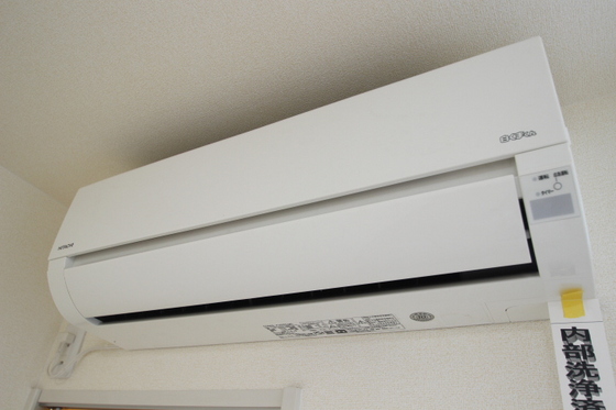 オンフォレストシノノメ