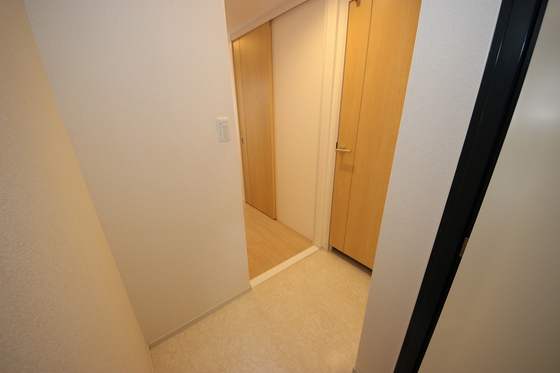 オンフォレストシノノメ