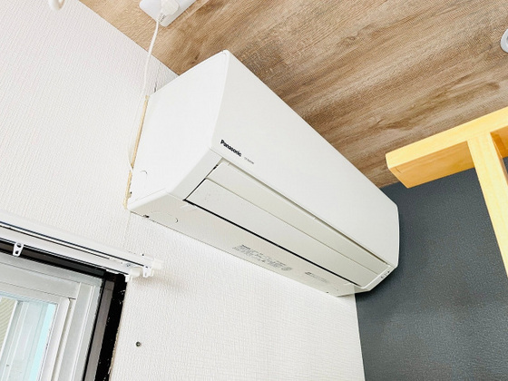 ポートガス・D・エース