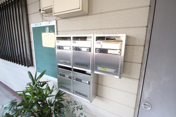 ピレニーズ奥田