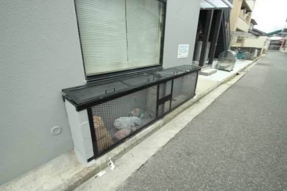 ロイヤルエムズ